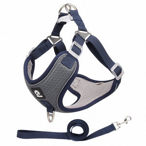 The Ultimate Solution for Your Pet's Comfort and Safety