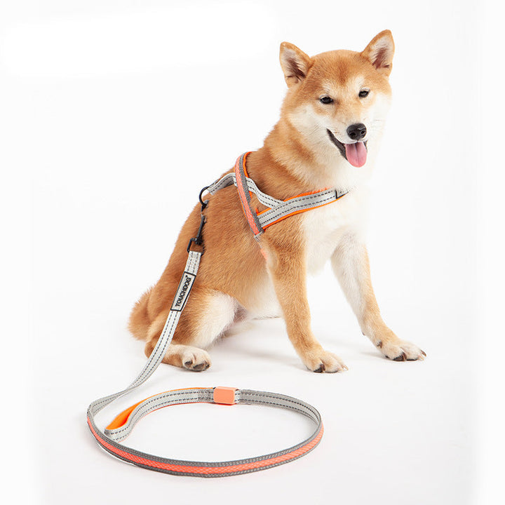 Illuminate Your Walks with the Pet LED Illuminated Leash Rope