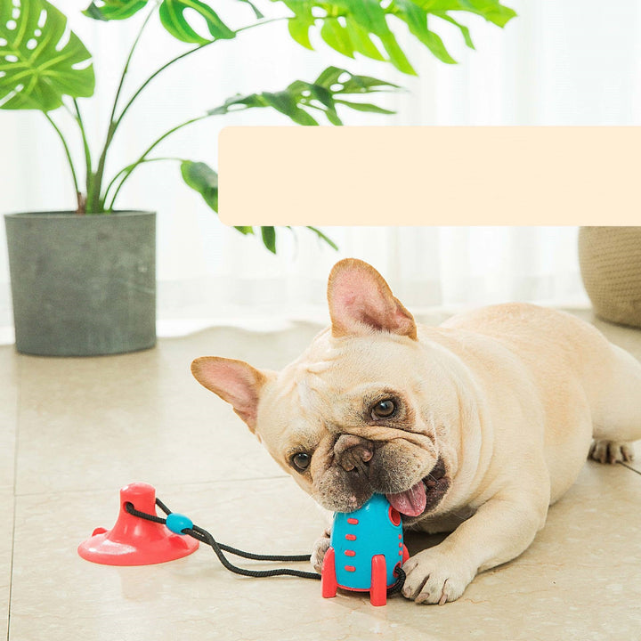 Unleash Fun with the Pet Rocket Toy!