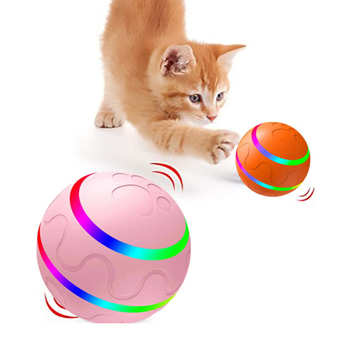 Discover the Joy of Play with the Pet New Cat Wicked Ball Toy