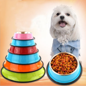 The Ultimate Pet Bowl: Elevate Your Pet's Dining Experience
