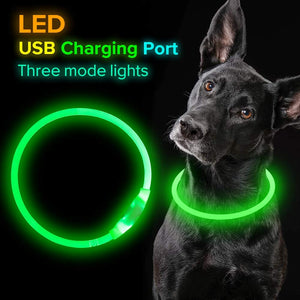 Illuminate Your Pet's Safety with Our USB Rechargeable Flashing Collar