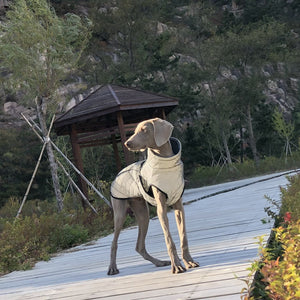 Elevate Your Pet's Style and Safety with Our Full Body Reflective Tactical Jacket