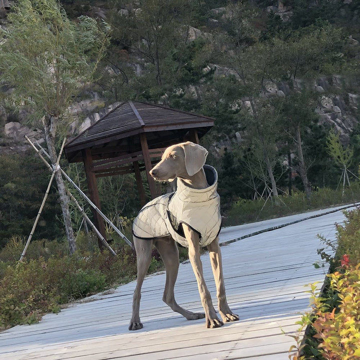 Elevate Your Pet's Style and Safety with Our Full Body Reflective Tactical Jacket