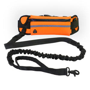 Hands Free Dog Leash: The Ultimate Solution for Active Pet Owners