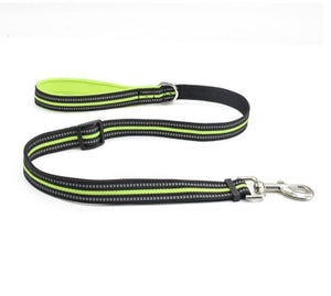 Why the Pet Nylon Assisted Retractable Control Leash is a Must-Have for Every Dog Owner