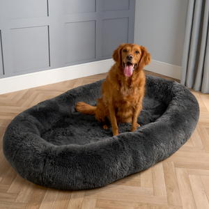 Choosing the Perfect Bed for Your Pet’s Comfort
