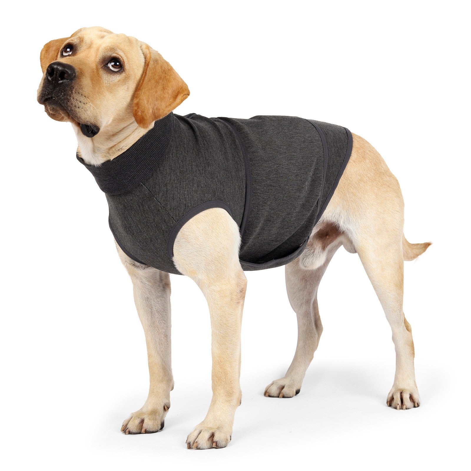 Pet Emotional Comfort Cotton Double Jacket Apparel