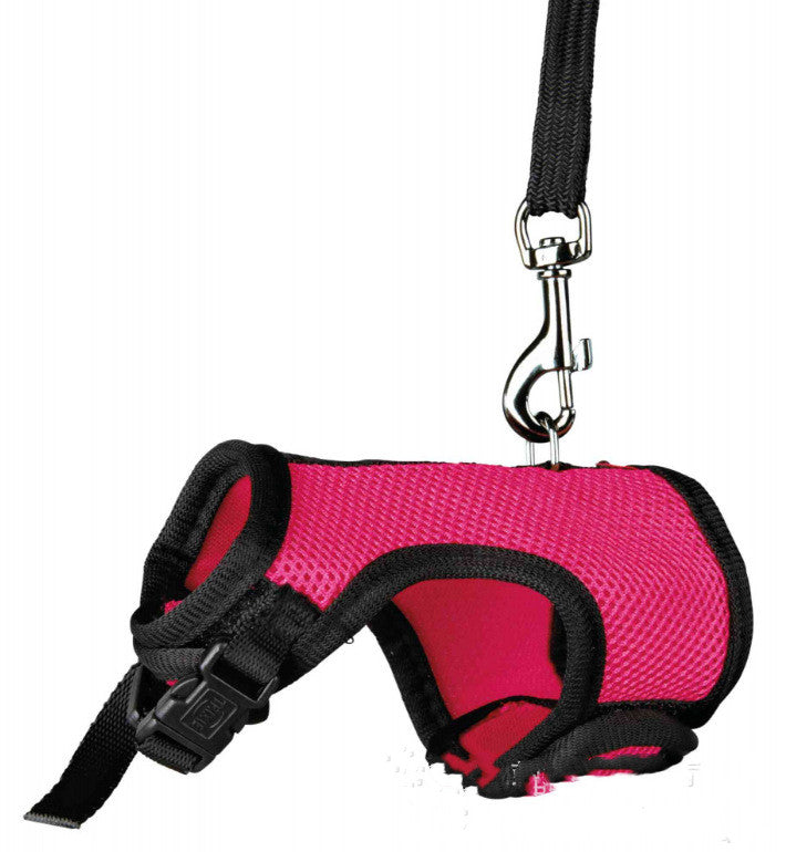 Pet Small Size Control Leash Rope Walking Lead