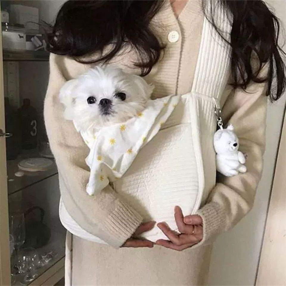 Portable Pet Carrier Canvas Shoulder Tote Travel Bag Breathable
