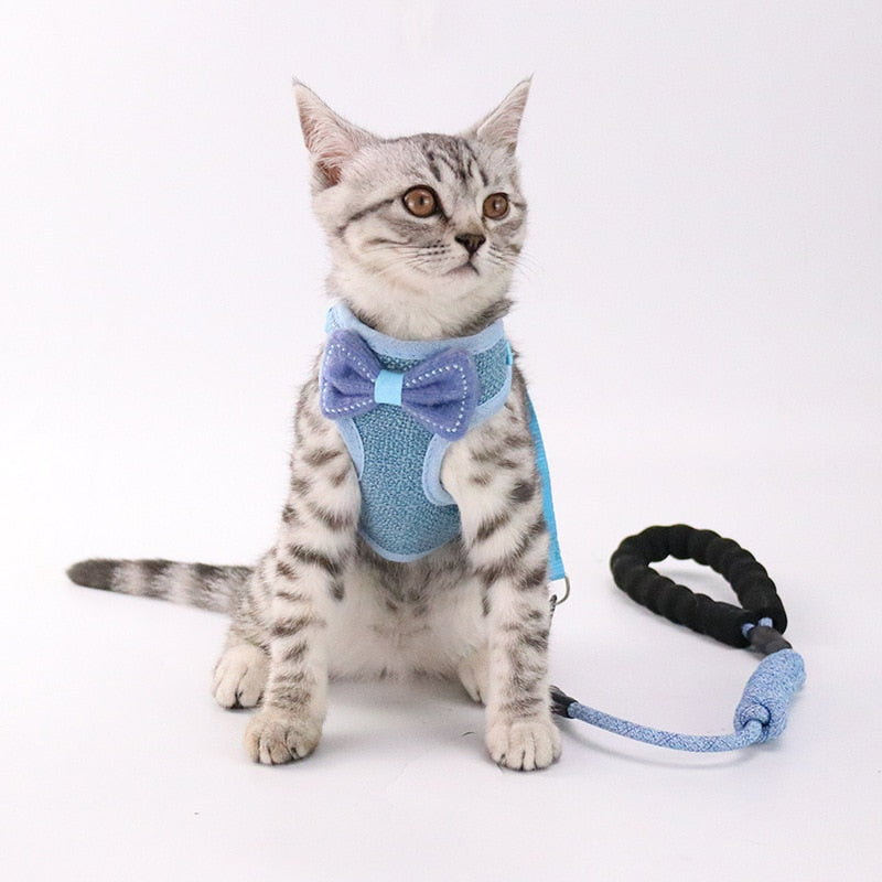 Pet Chest And Back Control Harness Leash Set