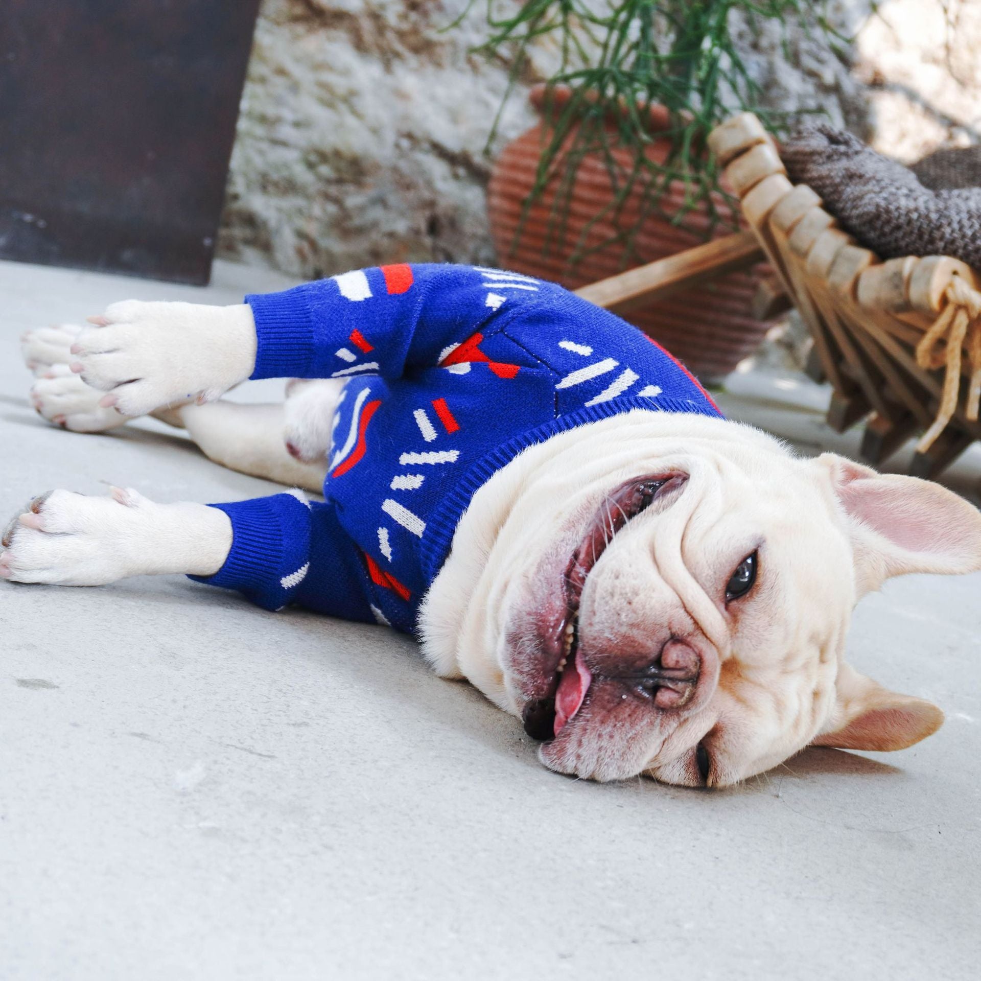 Pet Sweater Apparel Clothing