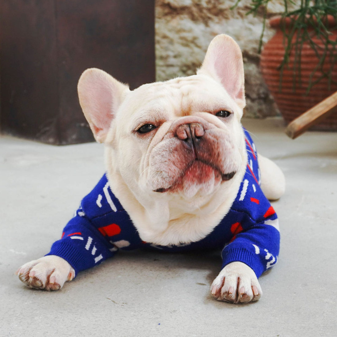 Pet Sweater Apparel Clothing