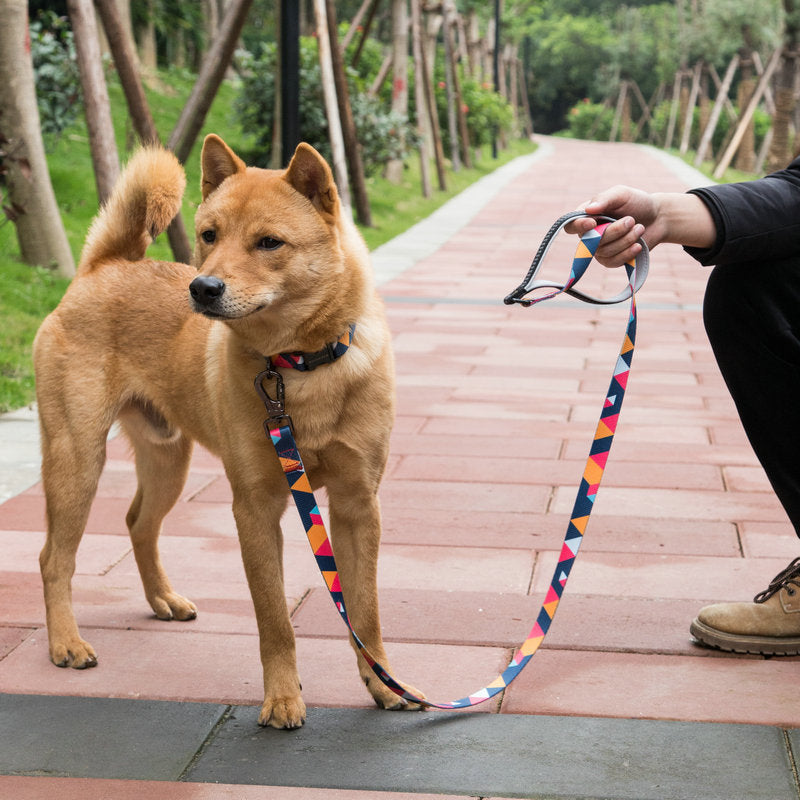 Pet Durable Control Walking Leash Rope Tool