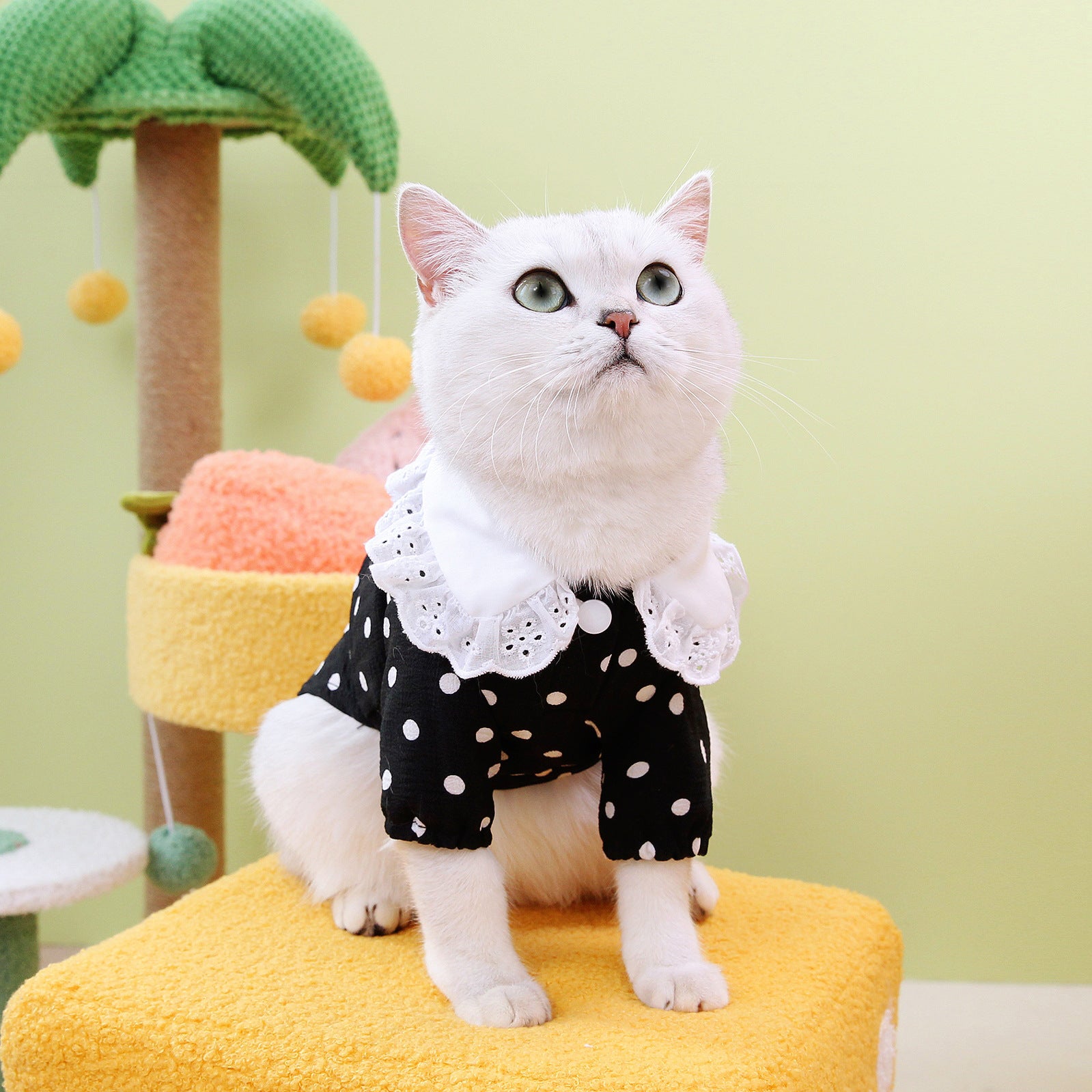 Pet Blue Ragdoll T-Shirt Apparel Clothing
