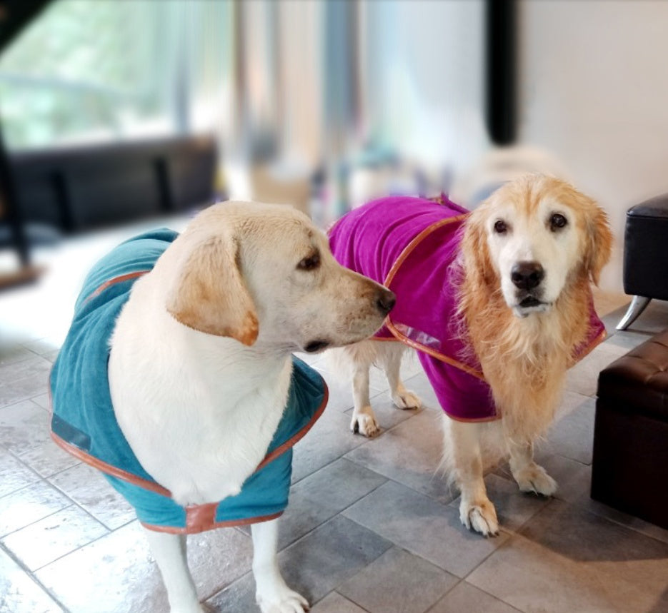 Pet Quick Dry Absorbent Bath Towel Clothes