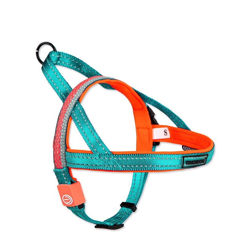 Pet LED Illuminated Leash Rope Walking Lead
