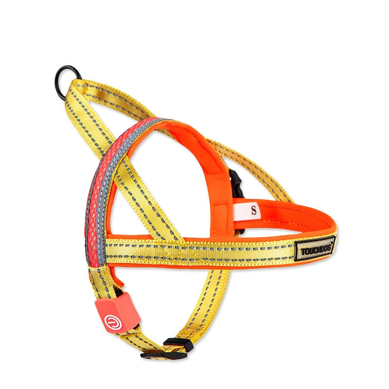 Pet LED Illuminated Leash Rope Walking Lead