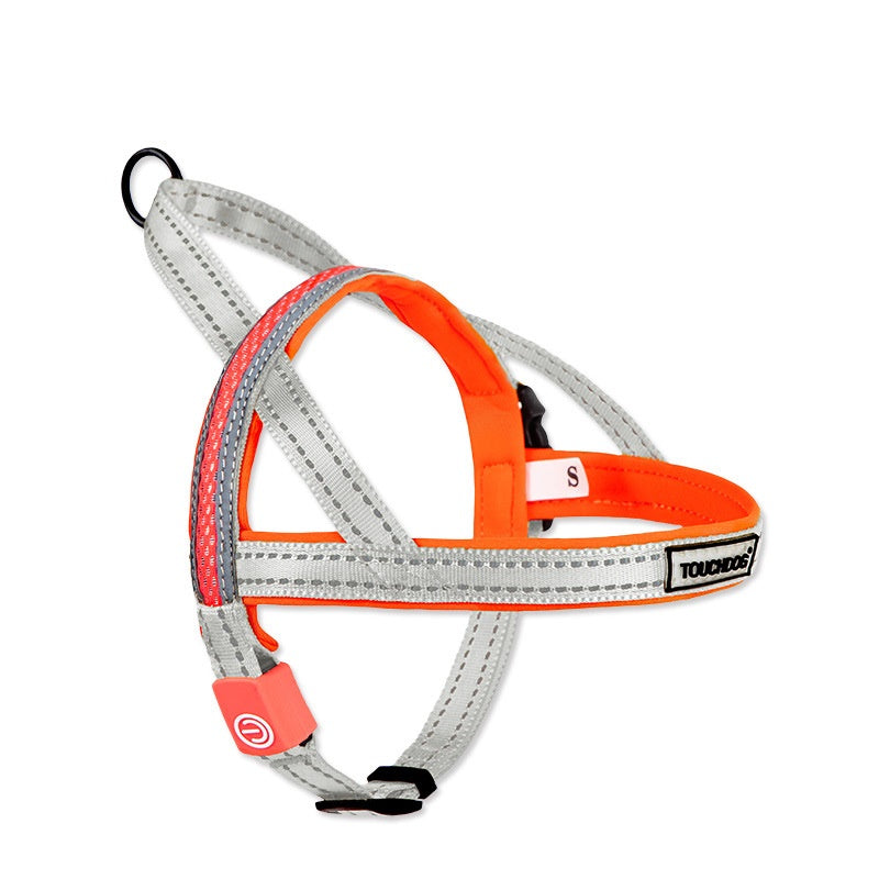 Pet LED Illuminated Leash Rope Walking Lead
