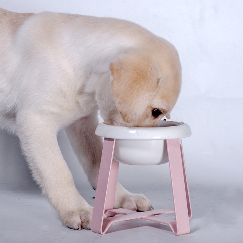 Pet Anti Slip Dual Bowl Feeding Stand System