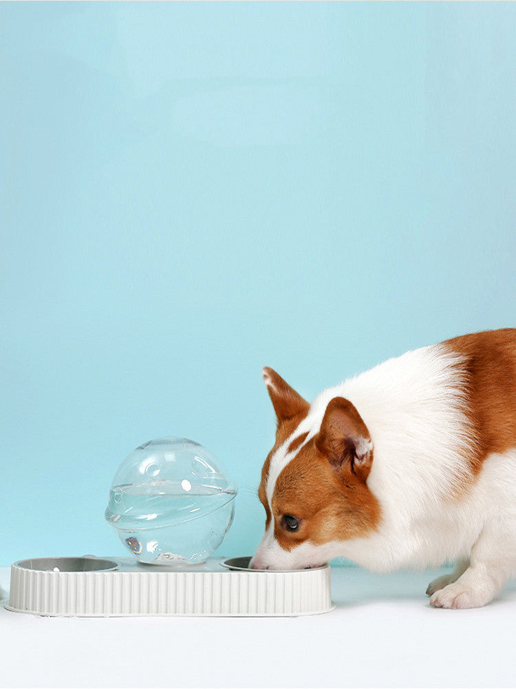 Pet Automatic Feeding And Drinking Bowl System