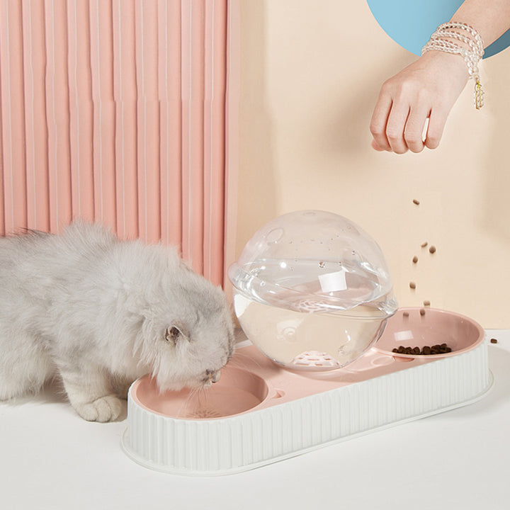 Pet Automatic Feeding And Drinking Bowl System