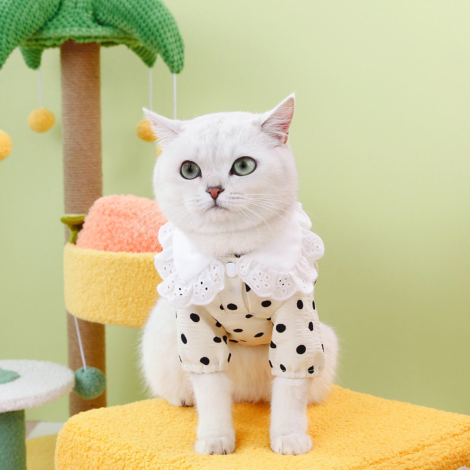 Pet Blue Ragdoll T-Shirt Apparel Clothing