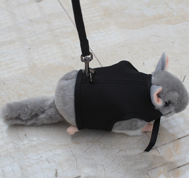 Pet Small Size Control Leash Rope Walking Lead