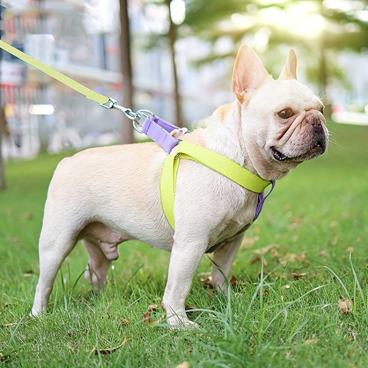 Pet Rainbow Colorblock Anti-Escape Harness Set Vest Leash Kit