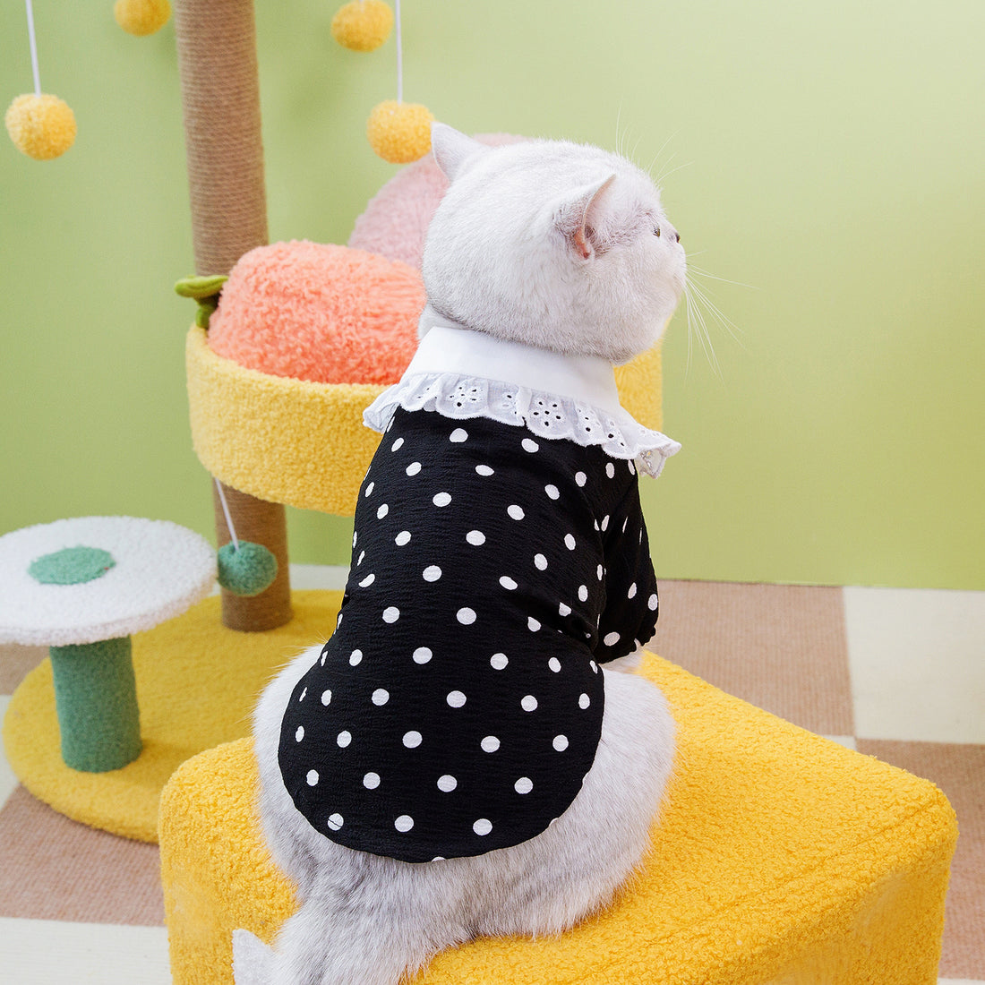 Pet Blue Ragdoll T-Shirt Apparel Clothing