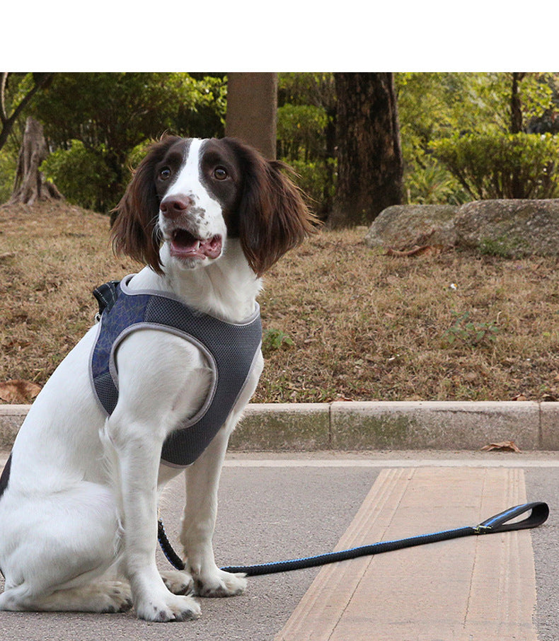 Pet Vest Harness Anti Pull Leash Control Set