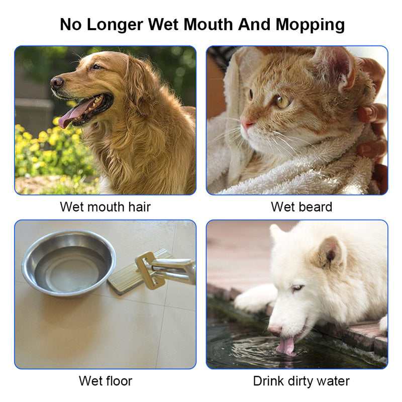 15de6baafc8fe9d89c4a64e3db66041b