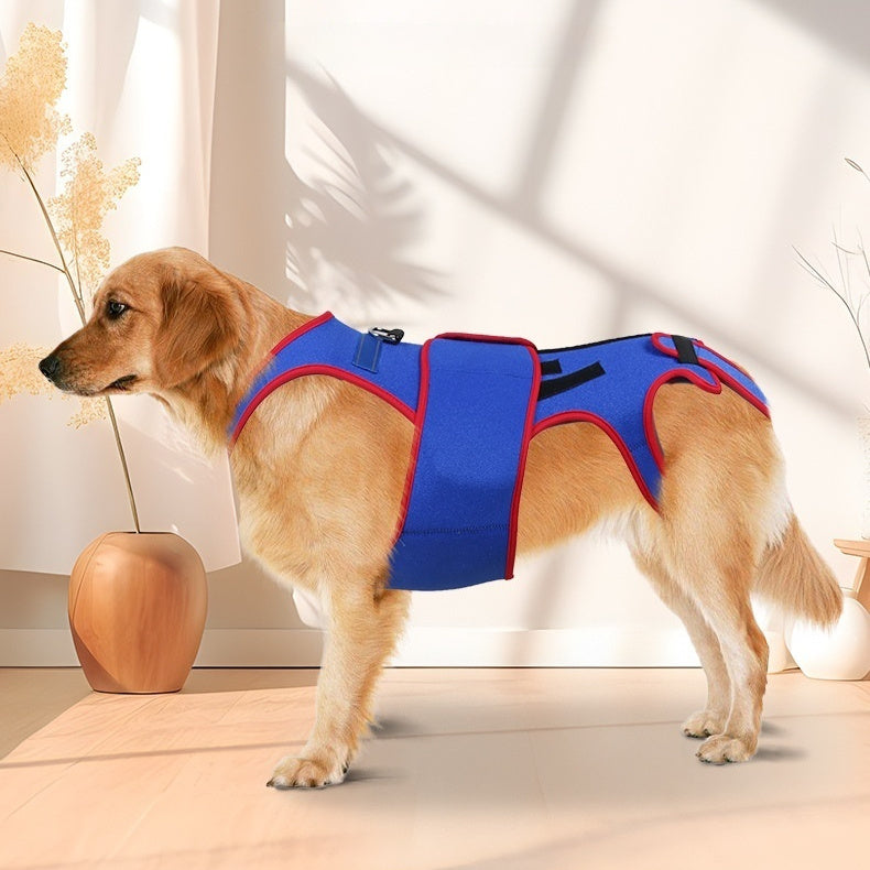 Pet Spine Support Posture Correction Jacket Apparel