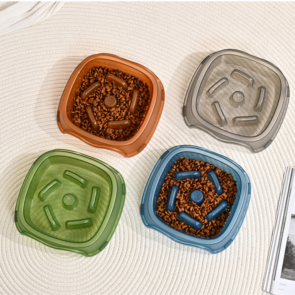 Pet Slow Feeding Anti Choking Water Bowl System