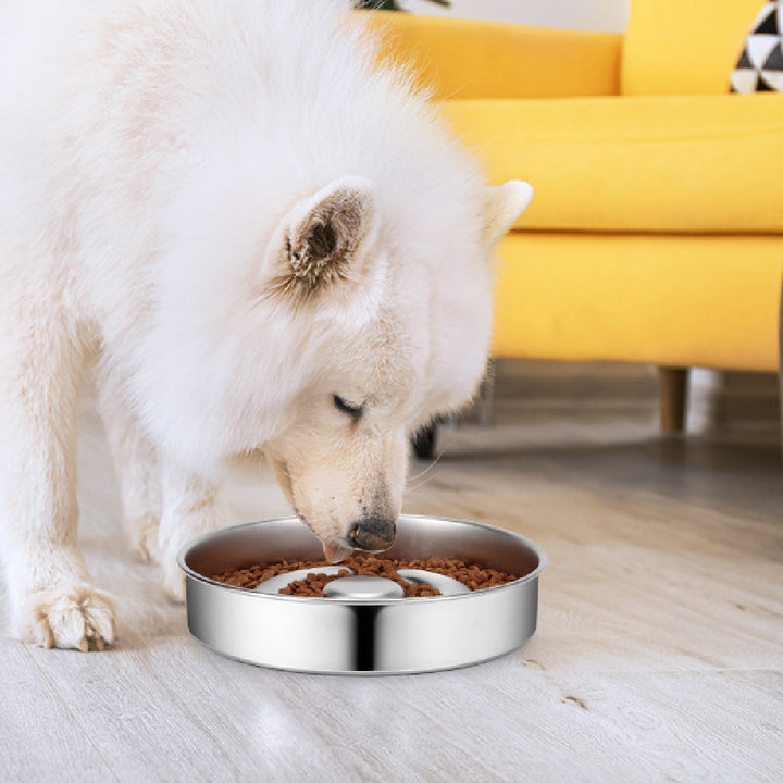 Pet Stainless Steel Slow Feeding Bowl Neck Support System