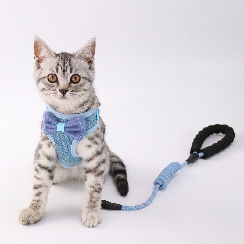 Pet Chest And Back Control Harness Leash Set