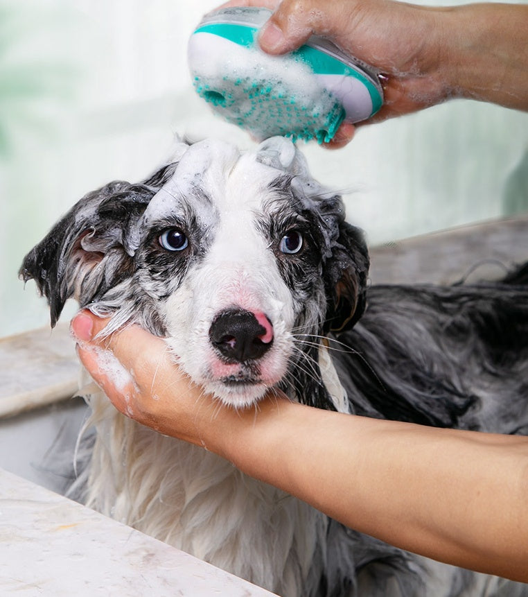 Pet Bath Massage Comb Automatic Liquid Dispenser