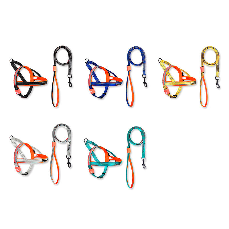 Pet LED Illuminated Leash Rope Walking Lead