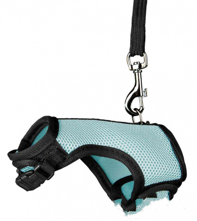 Pet Small Size Control Leash Rope Walking Lead