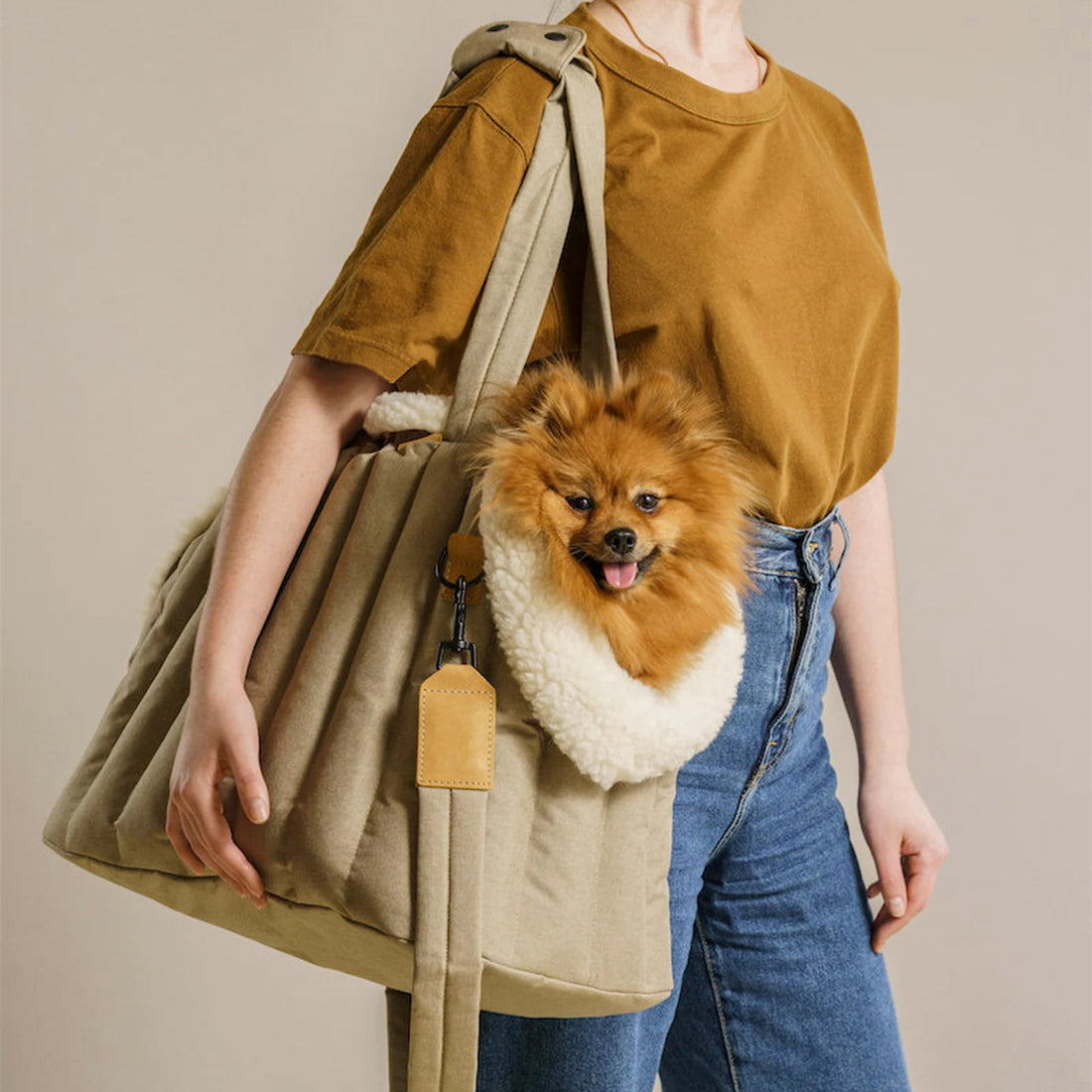 Portable Waterproof Pet Carrier Lightweight Fashion Handbag