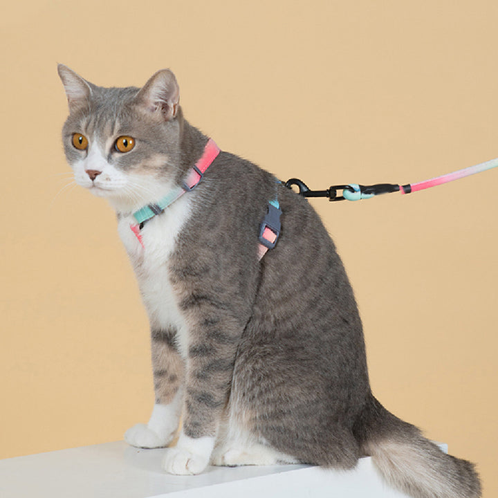 Pet Fashion Anti-Escape Control Leash Walking Lead