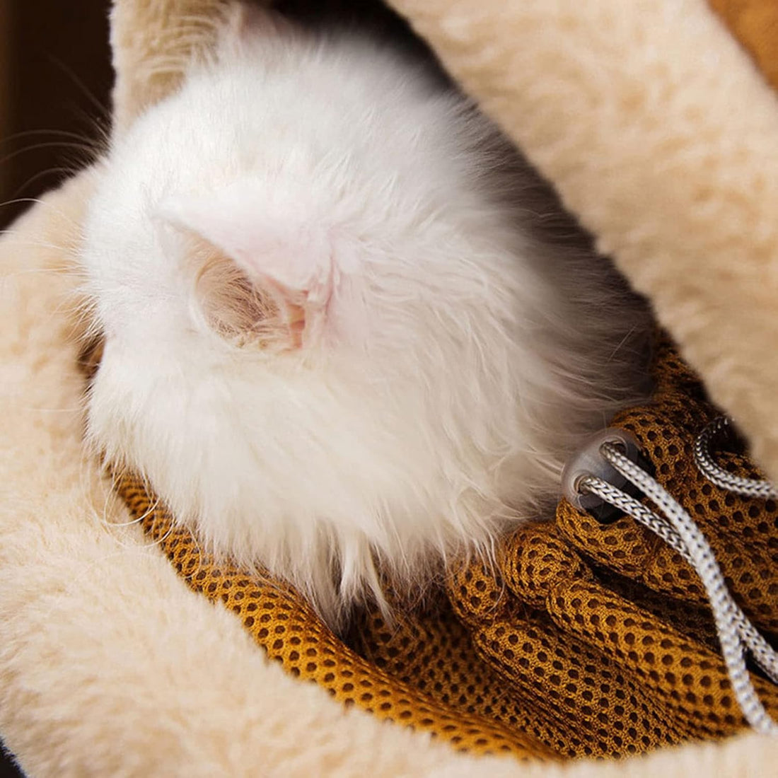Portable Pet Carrier Backpack Winter Plush Travel Bag
