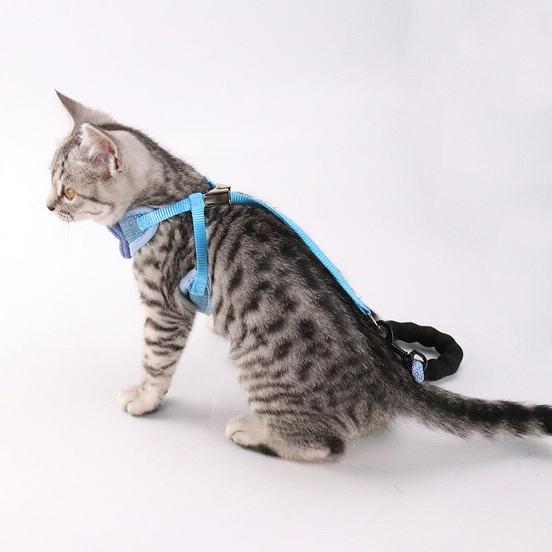 Pet Chest And Back Control Harness Leash Set