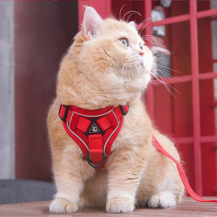 Pet Chest Strap Vest Harness With Leash Set