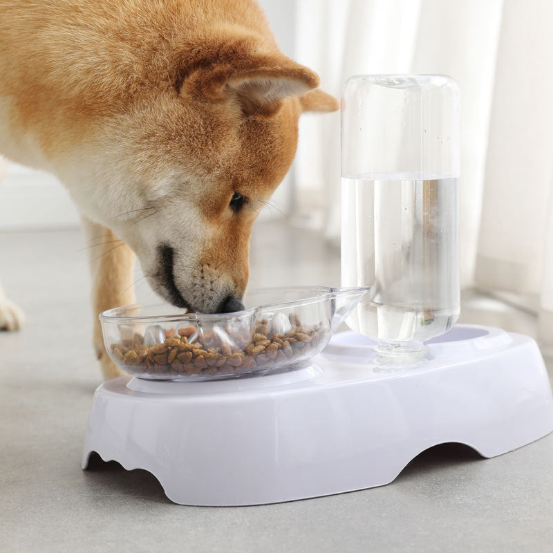 Pet Transparent Feeding And Drinking Bowl