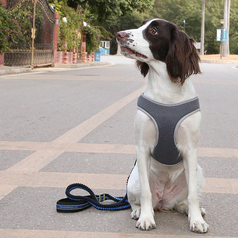 Pet Vest Harness Anti Pull Leash Control Set