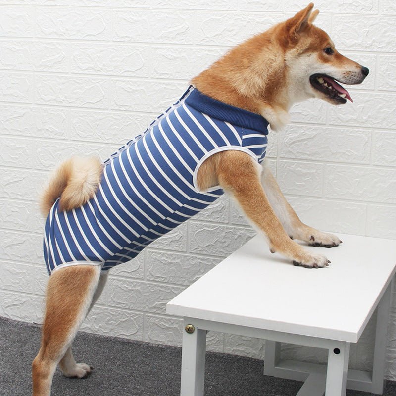 Pet Fashion Multi Color Personality Apparel Clothing