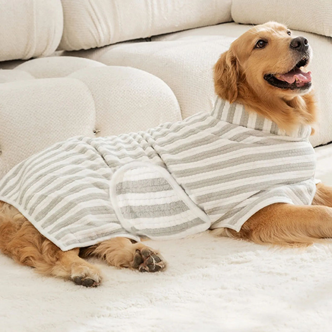 Pet Ultra Absorbent Quick Dry Bath Towel Thick Bathrobe