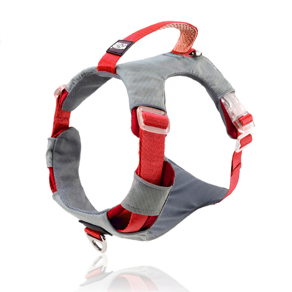 Pet Anti Pull Chest Strap Leash Storage Bag Set
