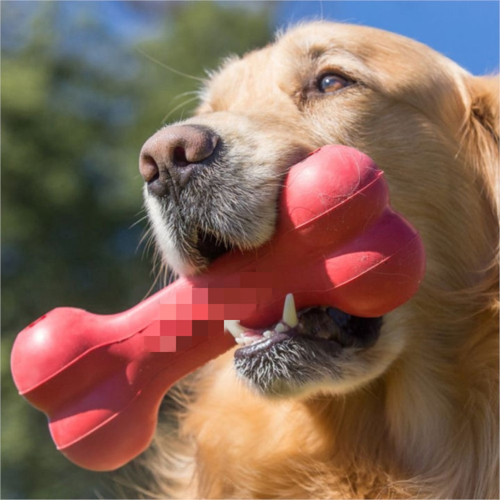 Pet Bite Resistant Rubber Toy For Teeth Grinding